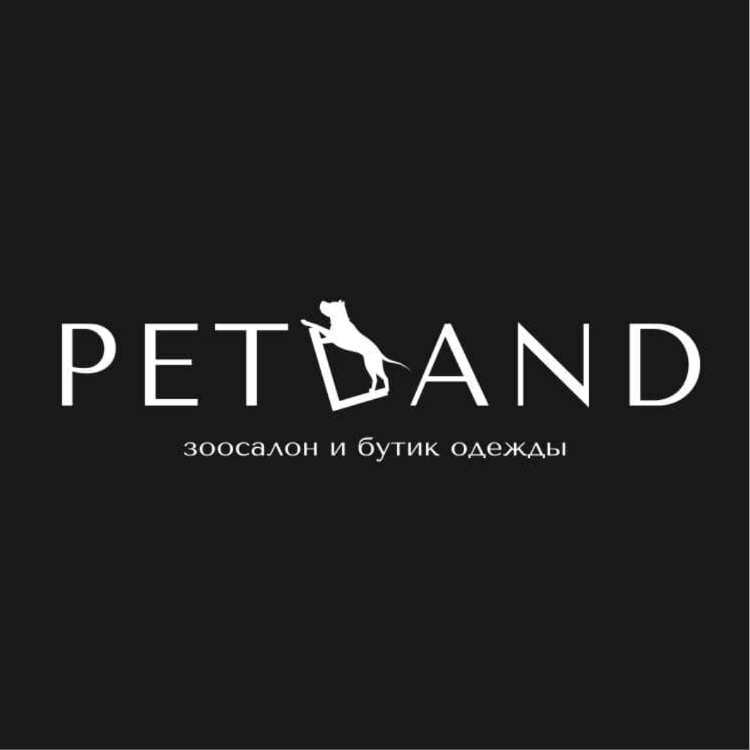 Заголовок